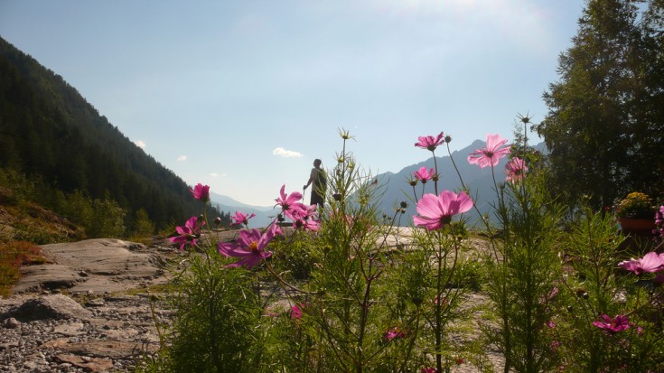 Please don't pick the flowers - leave them for others to enjoy