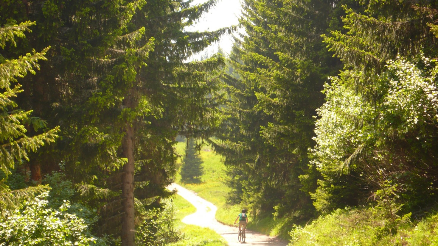Happy trails