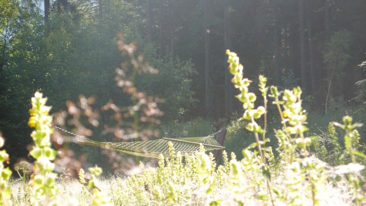 Hammock in the meadow