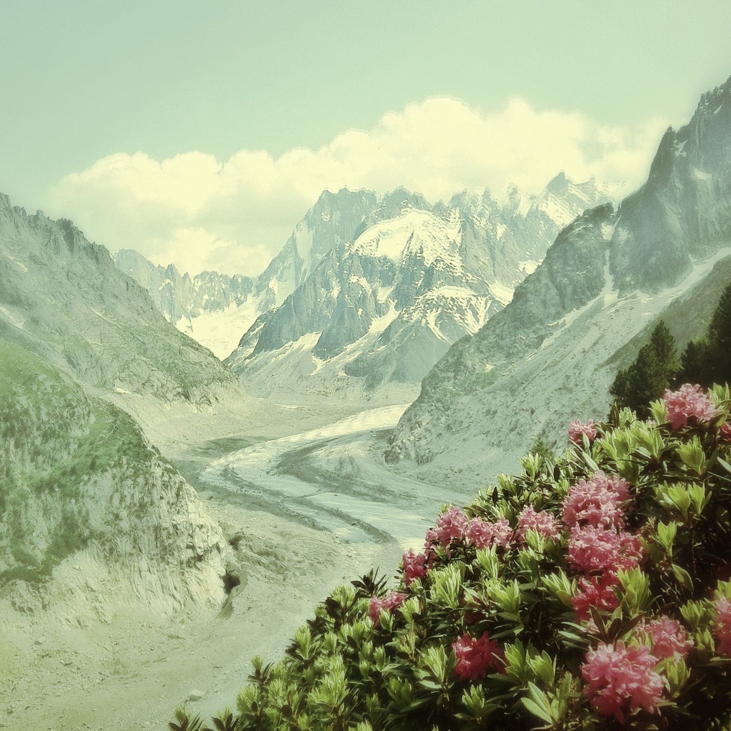 chaletlaforet_summer_merdeglace_instagram_1470