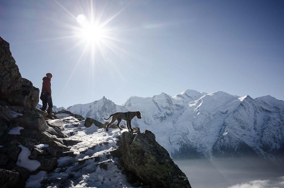 Peering over the edge