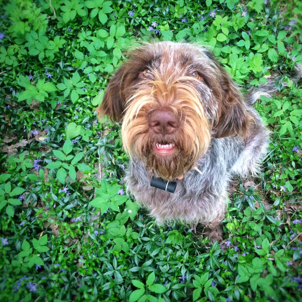 Daphne models her Podtracker