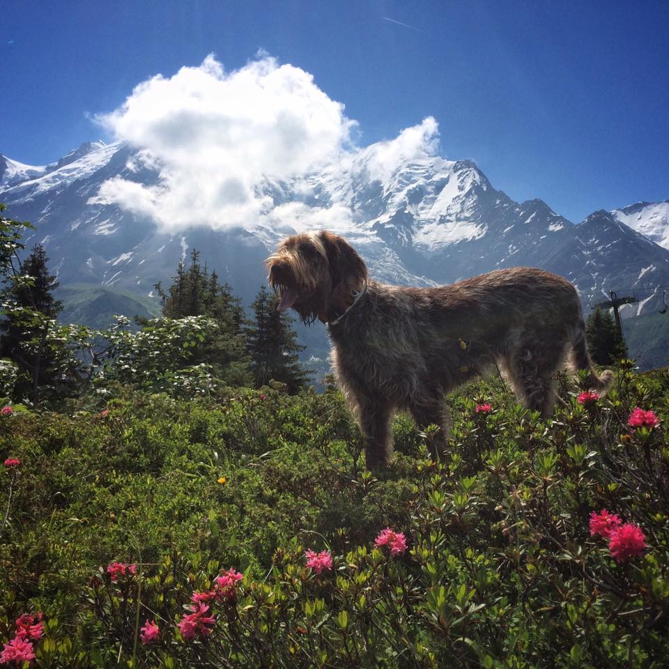 Walking from the Prarion lift in Les Houches
