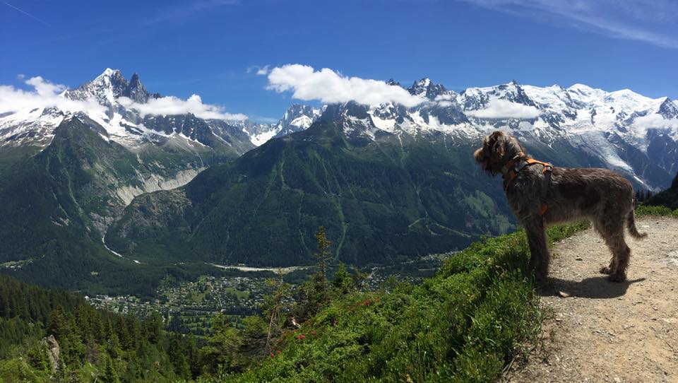 Admiring the view on the Grand Balcon Sud