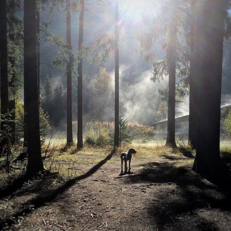 Early morning by the river in Les Praz