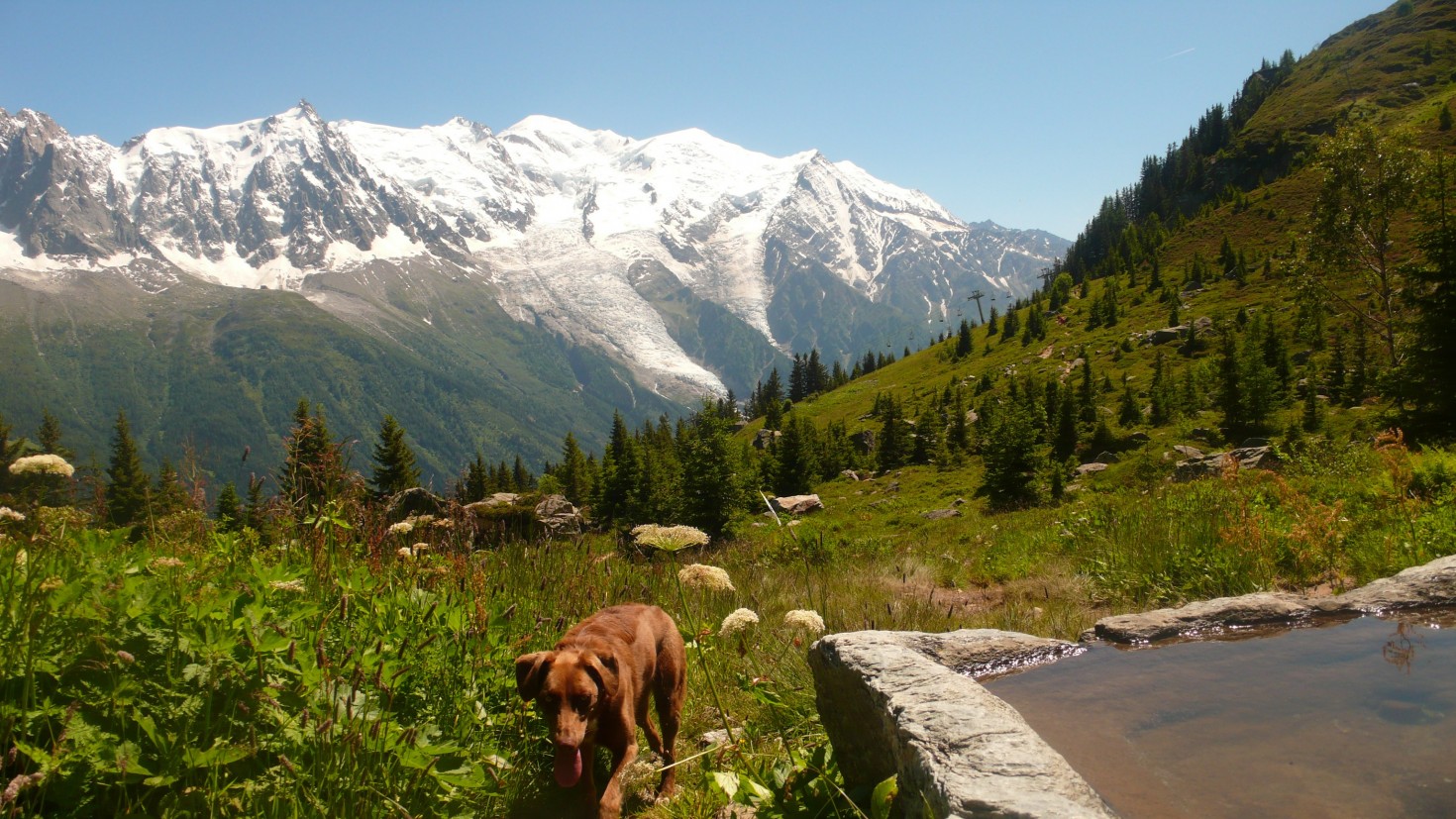 Molly stops for a drink on the Grand Balcon Sud