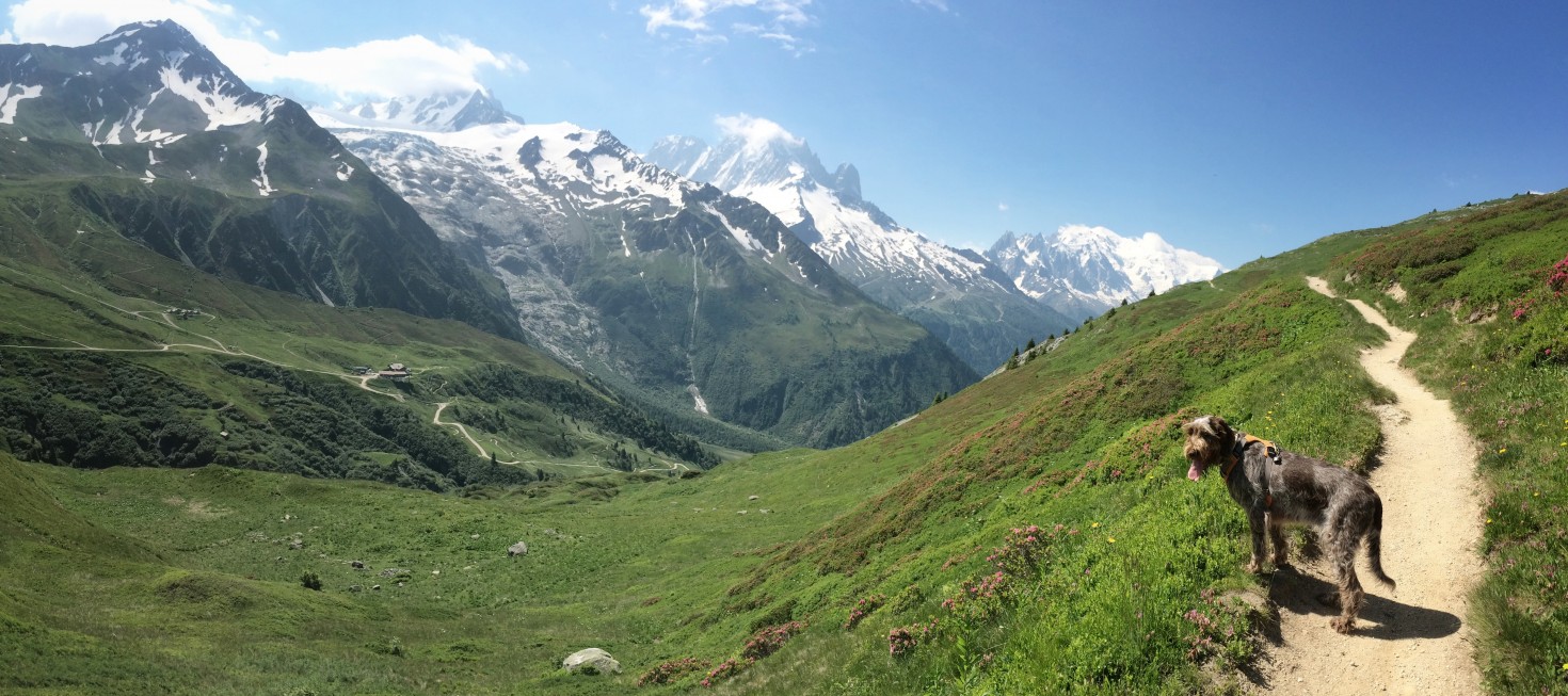 Panarama at Le Tour